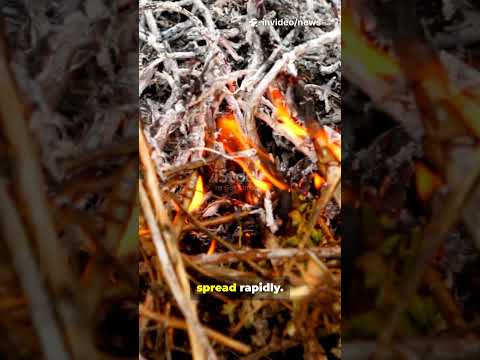 Fire Weather Watch Issued: High Wildfire Risk Warning