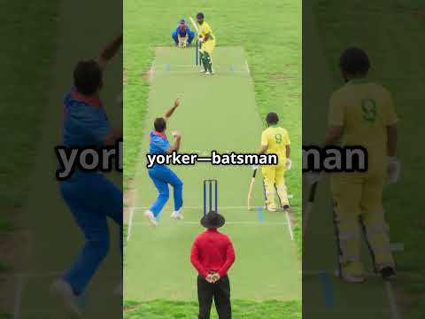 Pakistan vs India 🔥 | Biggest Cricket Rivalry Ever 🏏